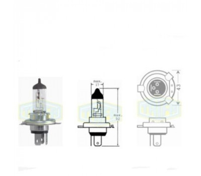 Лампа автомобильная  Галогенная лампа для фары Trifa HS1 6V 35/35W PX 43t (01650)
