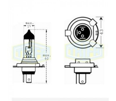 Лампа автомобильная  Галогенная лампа для фары Trifa H4 24V 70/75W long-life (41662)